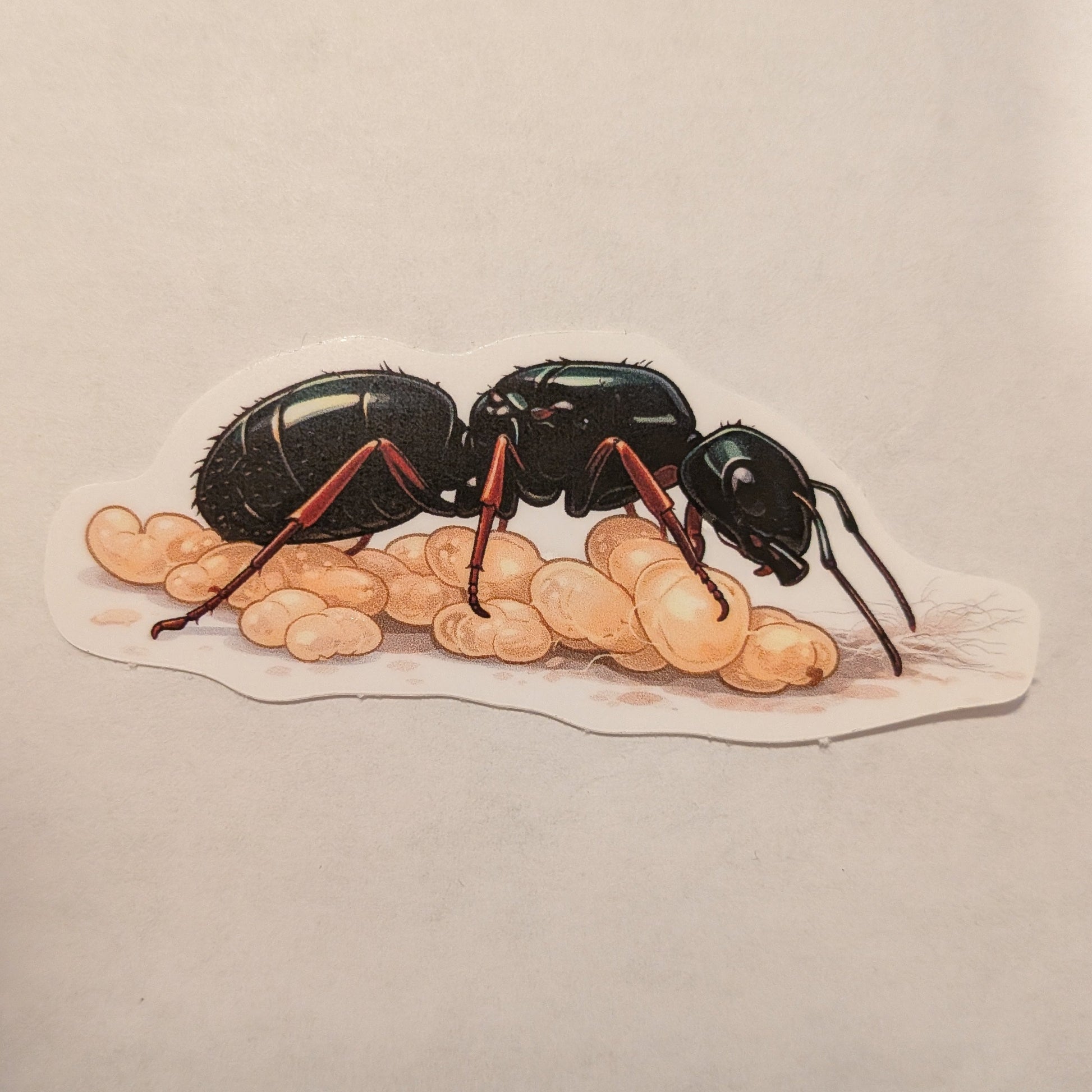 sticker of a queen ant standing on top of brood